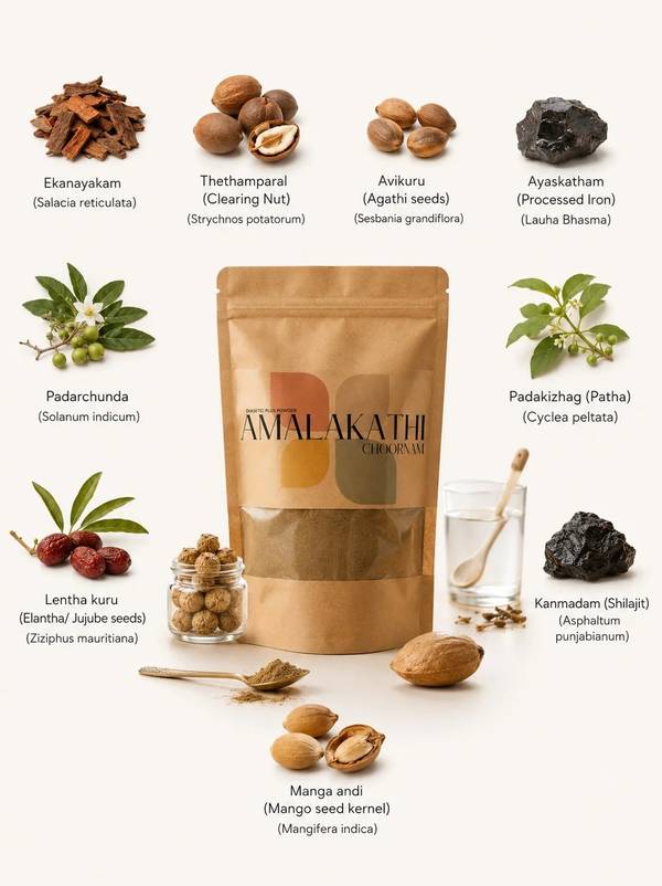 Amalakathi Choornam: Ingredients Infographic